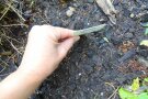 Hand greift Beetschild