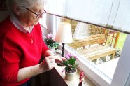 Eine ältere Dame pflegt ihre Blumen auf dem Fensterbrett
