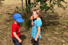  Zwei Kinder stehen vor einem frisch gepflanzten Bäumchen, das Mädchen beißt herzhaft in einen Apfel 