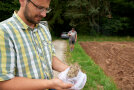 Landschaftsplaner Axel Bubholz mit Samen des Wiesen-Bocksbart und Kleinen Klappertopf.