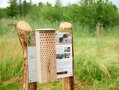 Wildbienennisthilfen für Oberfranken.
