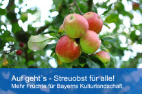 Ein leuchtender Apfel 