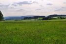 Eine Wiese mit blühenden Gräsern, dahinter Hügel mit Wäldern und Äckern, ganz im Hintergrund ein Höhenzug des Fichtelgebirges mit dem Schneeberg.