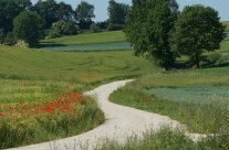 Le Ob Arbeitshilfe Kernwegnetz Landschaftsgebundener Kiesweg Affalterbach Teaserbild